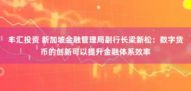 丰汇投资 新加坡金融管理局副行长梁新松：数字货币的创新可以提升金融体系效率