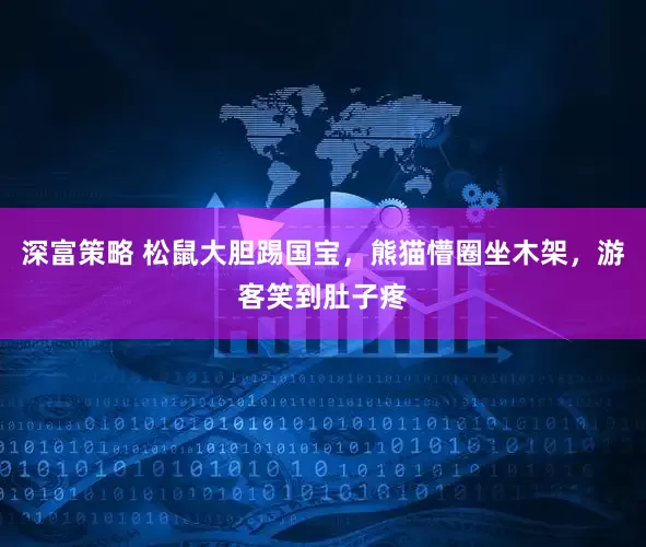深富策略 松鼠大胆踢国宝，熊猫懵圈坐木架，游客笑到肚子疼
