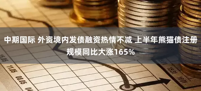 中期国际 外资境内发债融资热情不减 上半年熊猫债注册规模同比大涨165%