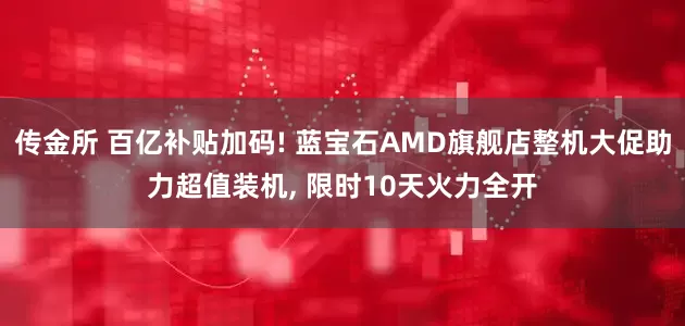 传金所 百亿补贴加码! 蓝宝石AMD旗舰店整机大促助力超值装机, 限时10天火力全开