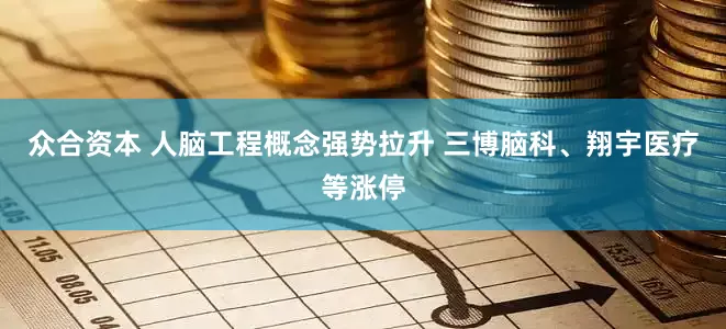 众合资本 人脑工程概念强势拉升 三博脑科、翔宇医疗等涨停